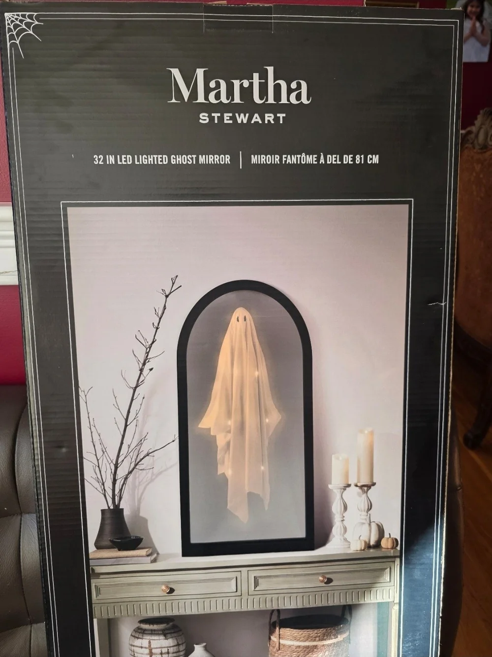 Martha Stewart Black-Framed LED Ghost Wall Mirror